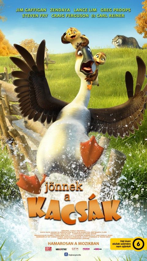 Jönnek a kacsák (6)