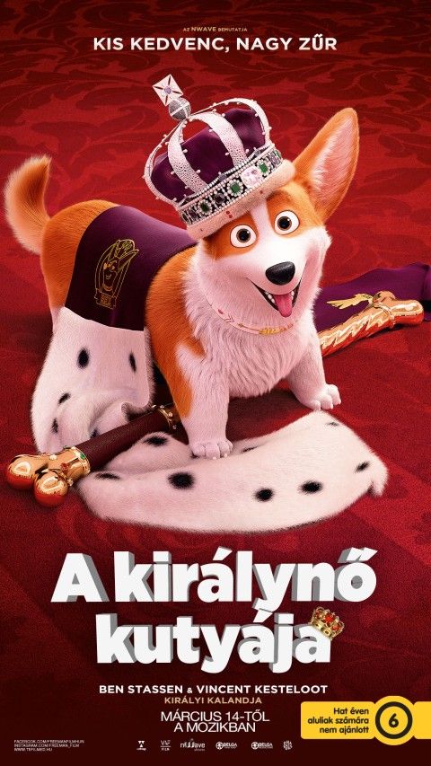 📷 A királynő kutyája (6)