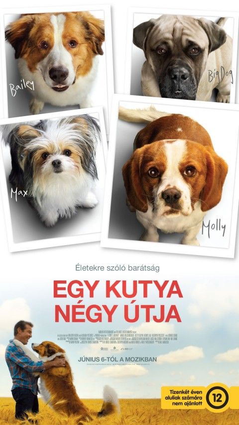 📷 Egy kutya négy útja (12)