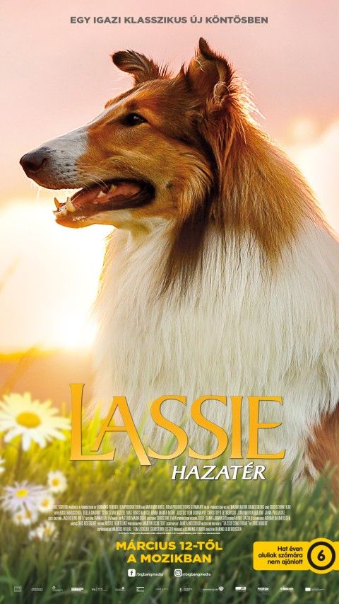 ❏ Lassie hazatér (6)