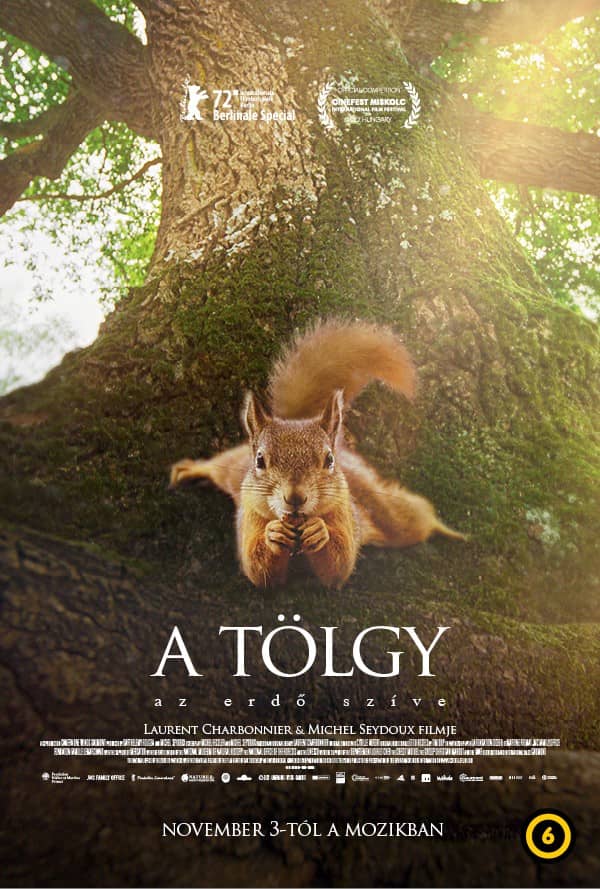 ❏ A tölgy - Az erdő szíve (6)